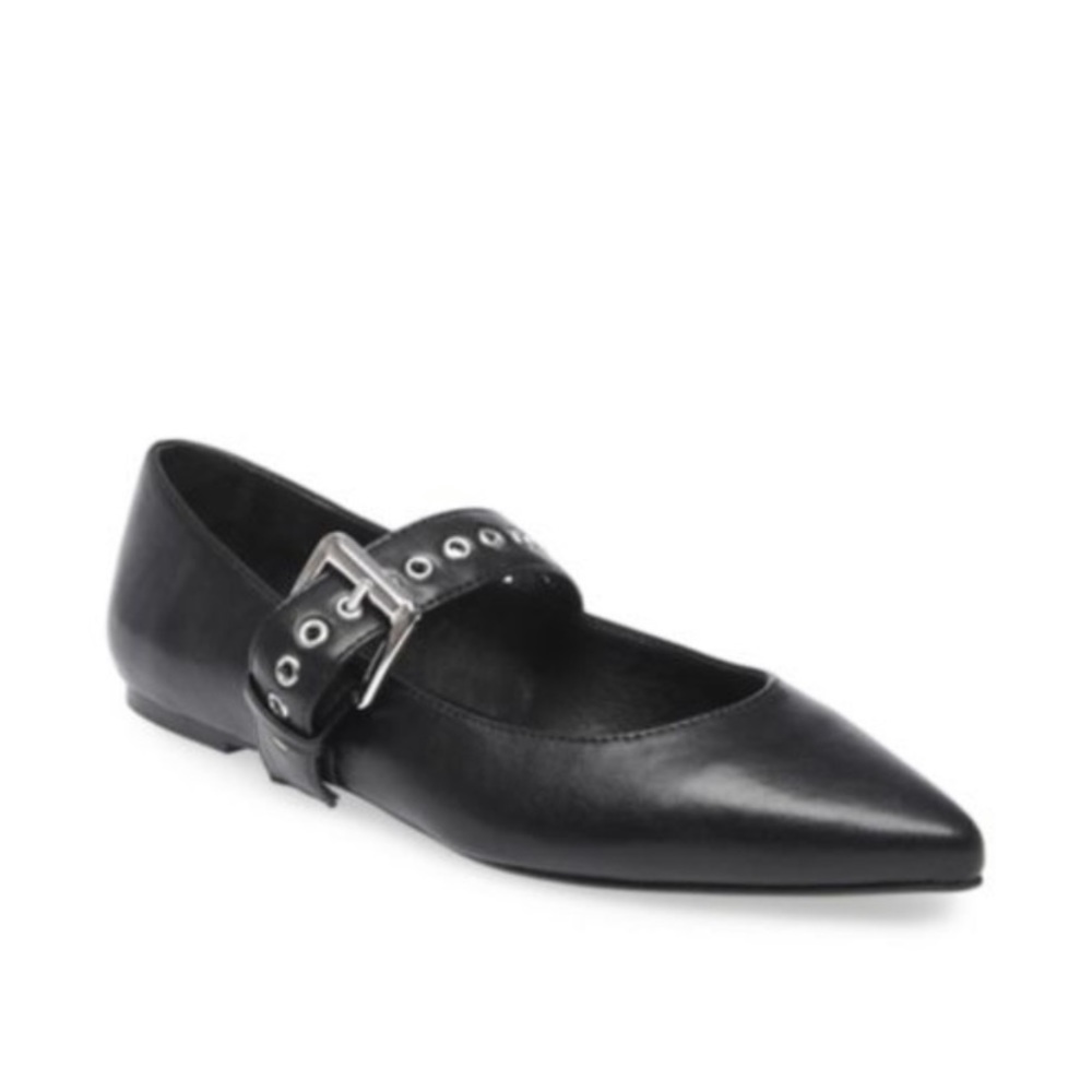 ADORABLE Pointed Mary Jane Buckle Strap Flats